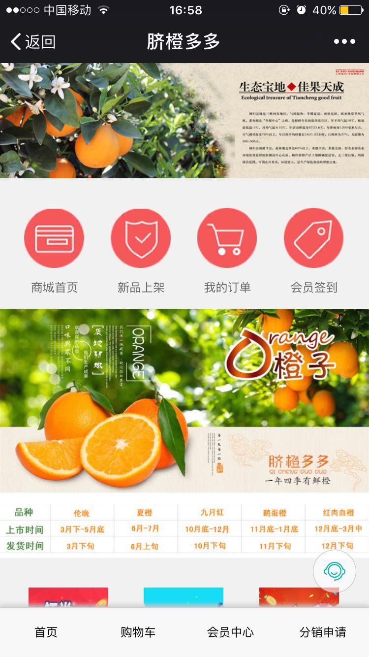 臍橙多多